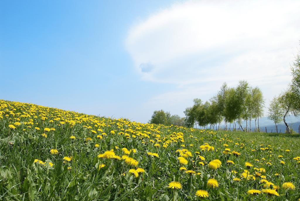 Gastwirtschaft Hold Hotel Monichwald ภายนอก รูปภาพ